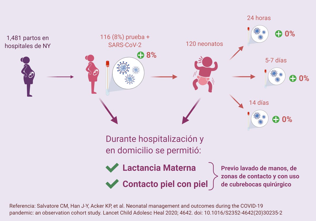 Javimangal's tweet photo. De 1,481 partos, 8% madres con prueba positiva. Se permitió la lactancia materna y contacto piel con piel previa higiene de manos y piel, con uso de cubrebocas quirúrgico. Ningún recién nacido tuvo prueba positiva ni desarrolló síntomas de COVID-19 https://t.co/ayBm5n9AHv https://t.co/VSYkapOMSA