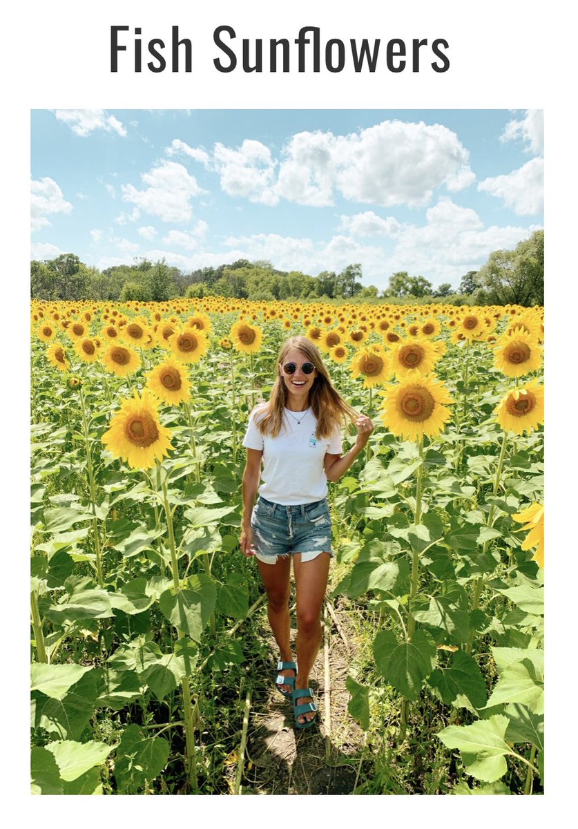 LindseyRanzau's tweet photo. Take advantage of the 38 hidden gems Minnesota has to offer this summer! https://t.co/qPkcud7rZC
#exploreminnesota #midwestisbest #hiddengems #travelideas #thingstodomn #placestoexplore #minnesota https://t.co/gnslXyx8Aq
