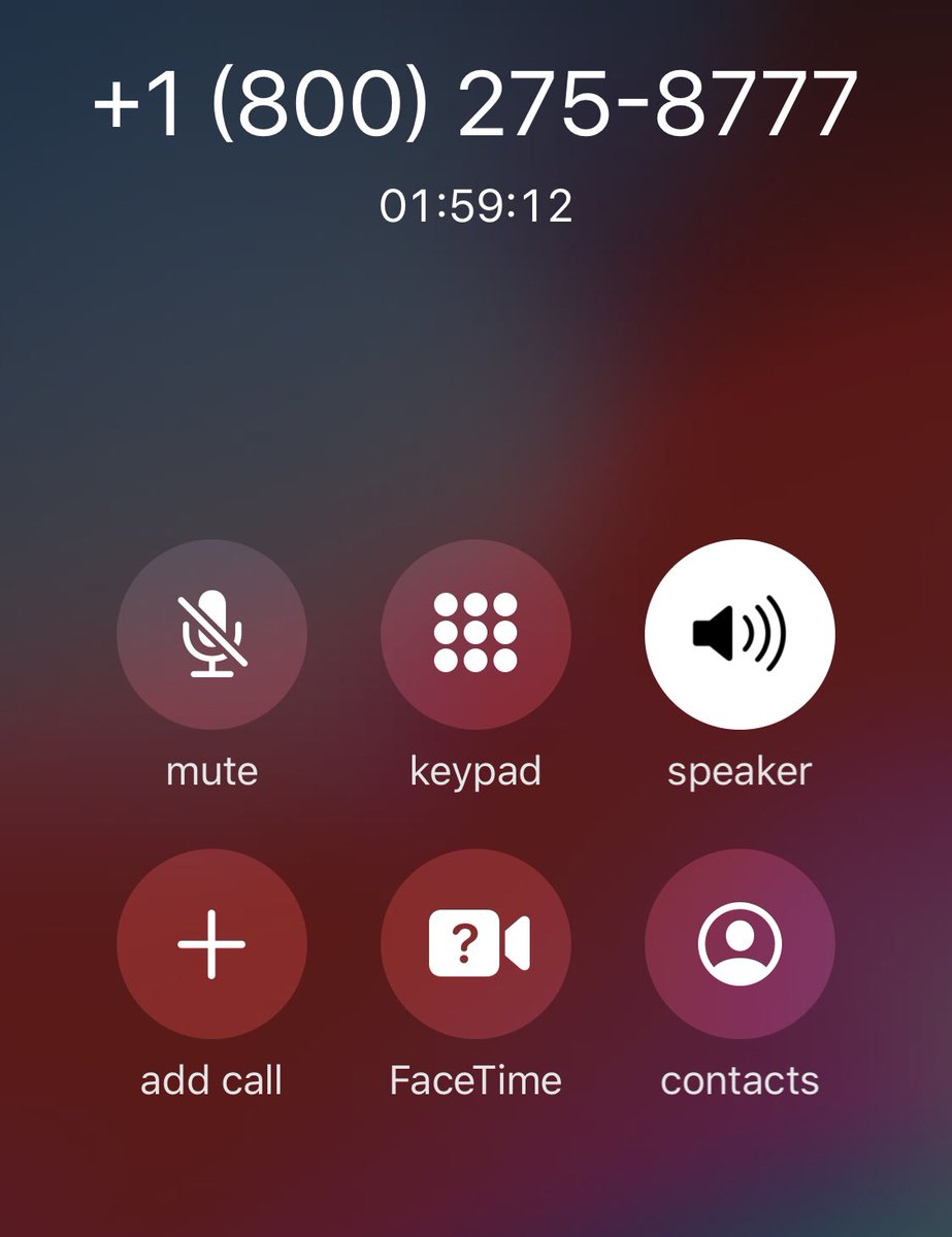 High Thoughts tweet media