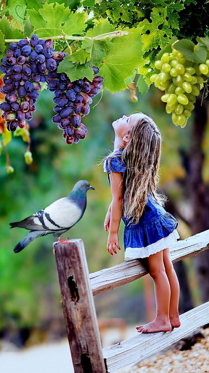 Kaia_Cindy's tweet photo. 💯#TmSIL
#TmSILEfraMar⏮️
👎
@DE_SILVIA_T 
@666_alhlwan 
@Efrain256484390 
@marinavibu609g 
@1_saleh1964 
@sodv_ 
@Angel_Stockler 
@lumpie125 
@Thelkhyarakhetl 
@yelarvel 
@ObiWarne 
@Rao9u
@David_Mark2009 
@itifl 
@AidenSam5 
@76yl_ 
@vzt_ @MakenaSiara
@julia1000l 
👍👍 https://t.co/7p8KDtMWRS
