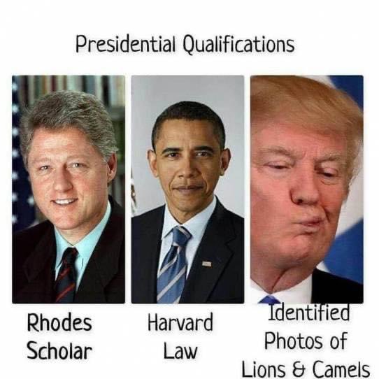 scientificrealm's tweet image. 