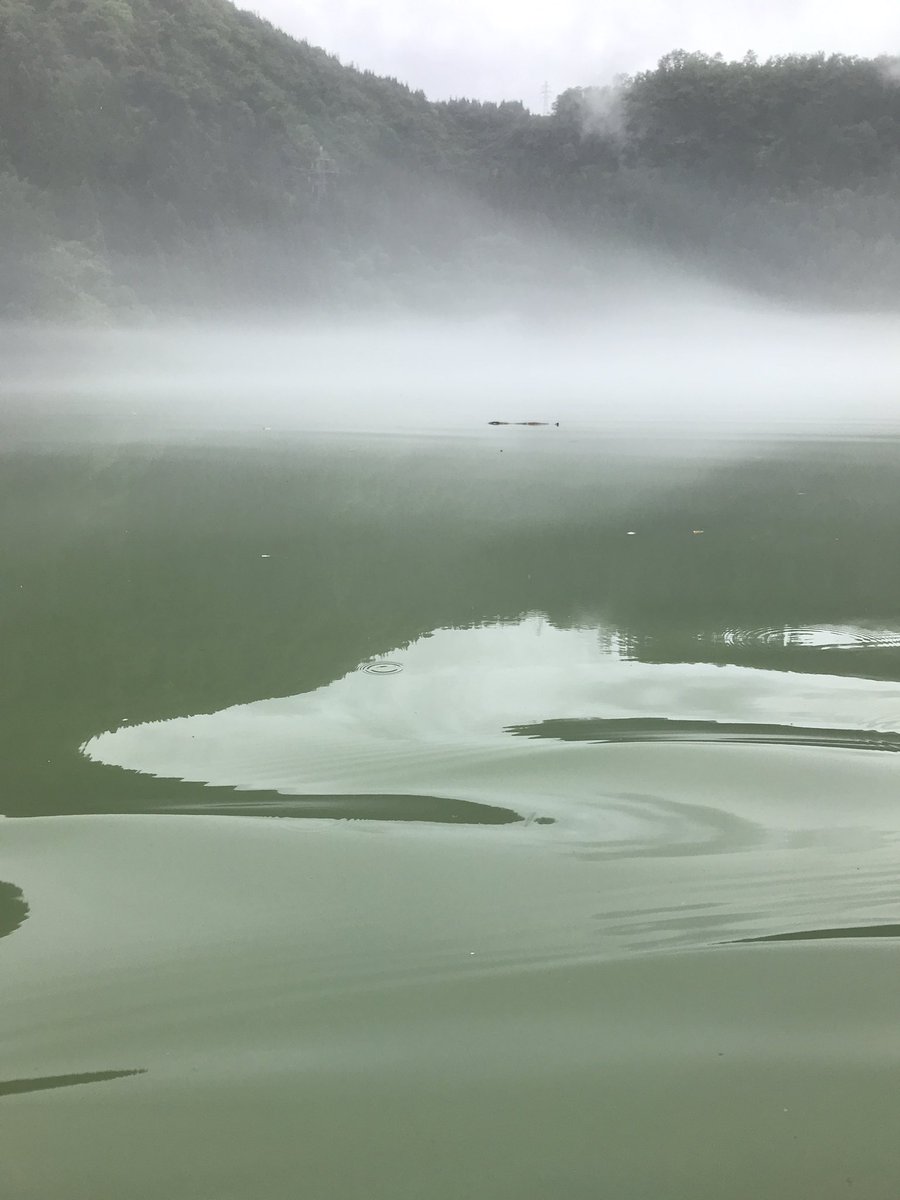 霧幻峡 Twitter Search