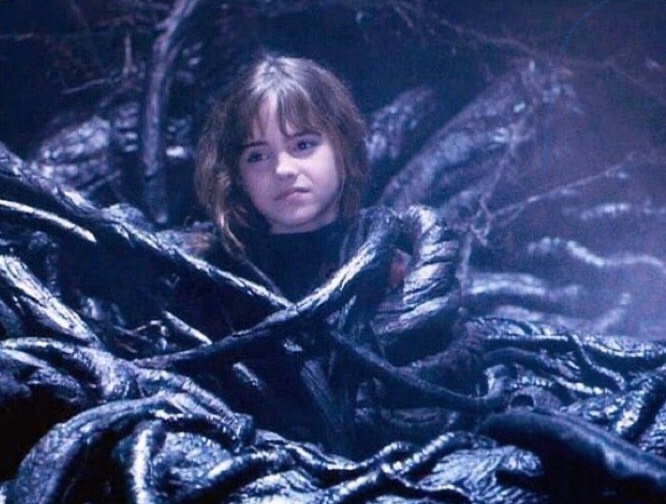 Harry Potter tweet media