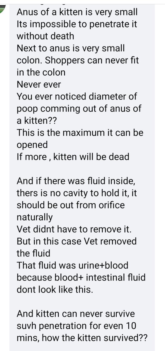 Okay, last. The summary.  #kittenrape