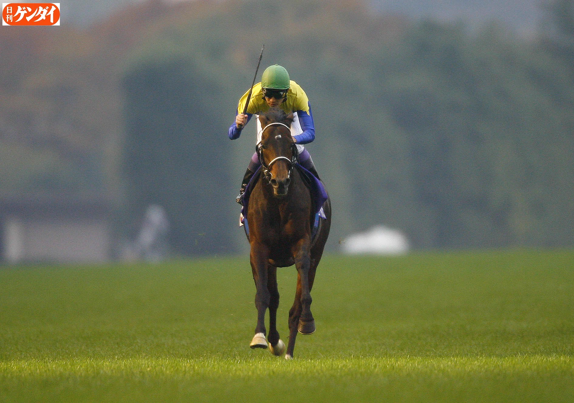 日刊ゲンダイ 競馬 on X: 