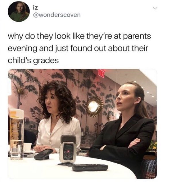chapmvns's tweet photo. Oof I haven’t been on this in a while , I recently finished killing eve and now I’m addicted , anyway here’s some memes 😸 

#KillingEve #killingevememes #evepolastri #villanelle #villaneve  #jodicomer #sandraoh https://t.co/4paVNwt4wA