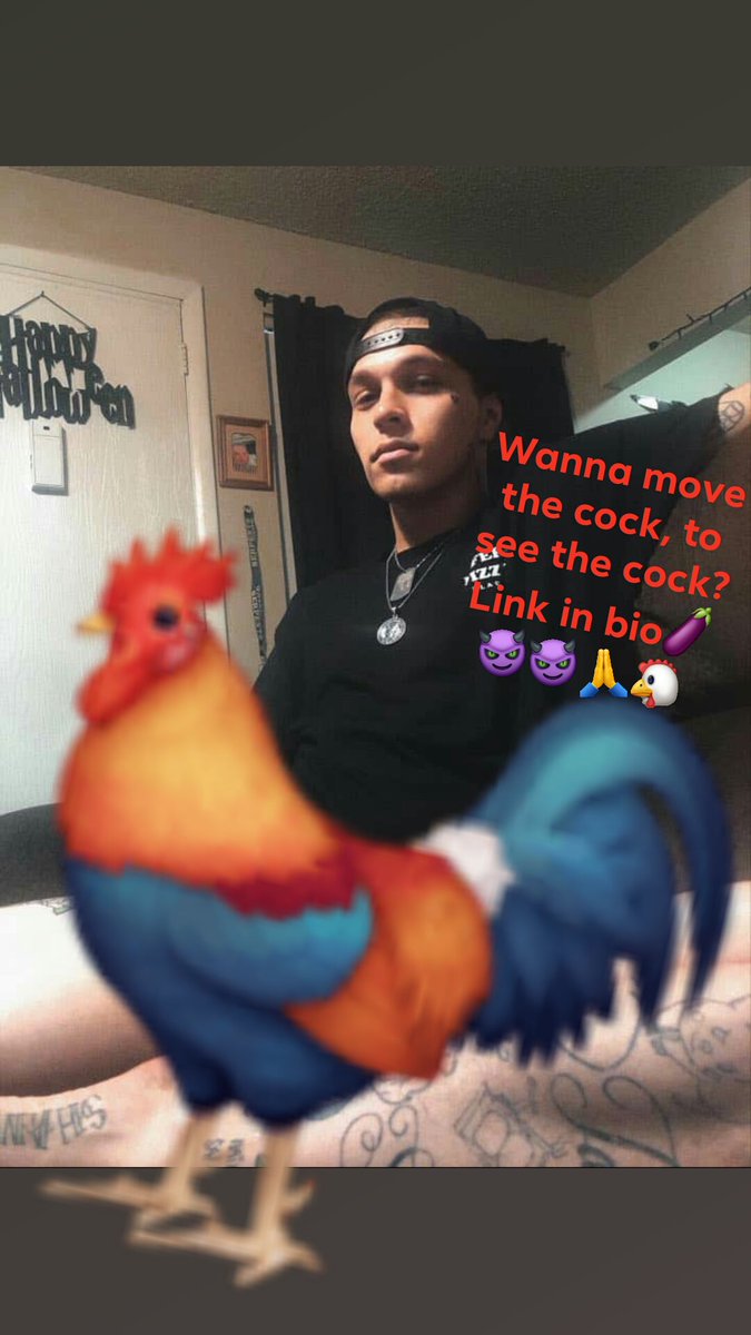 SatanicPotato66's tweet photo. Wanna move the cock, to see the cock? 🙏🔥 subscribe to my OnlyFans now!!
https://t.co/janr79eCjQ
#daddy #tatted #inked #tattoo #tattedup #followme #tattooed #nude #art #nudes #naked #guyswithtattoos #tatteddads #facetattoo #OF #onlyfans #subscribe #buyingnudes #bwc https://t.co/NAUsuT9uB5