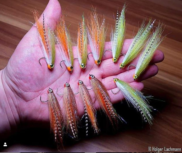 FarmsWhiting tweet picture