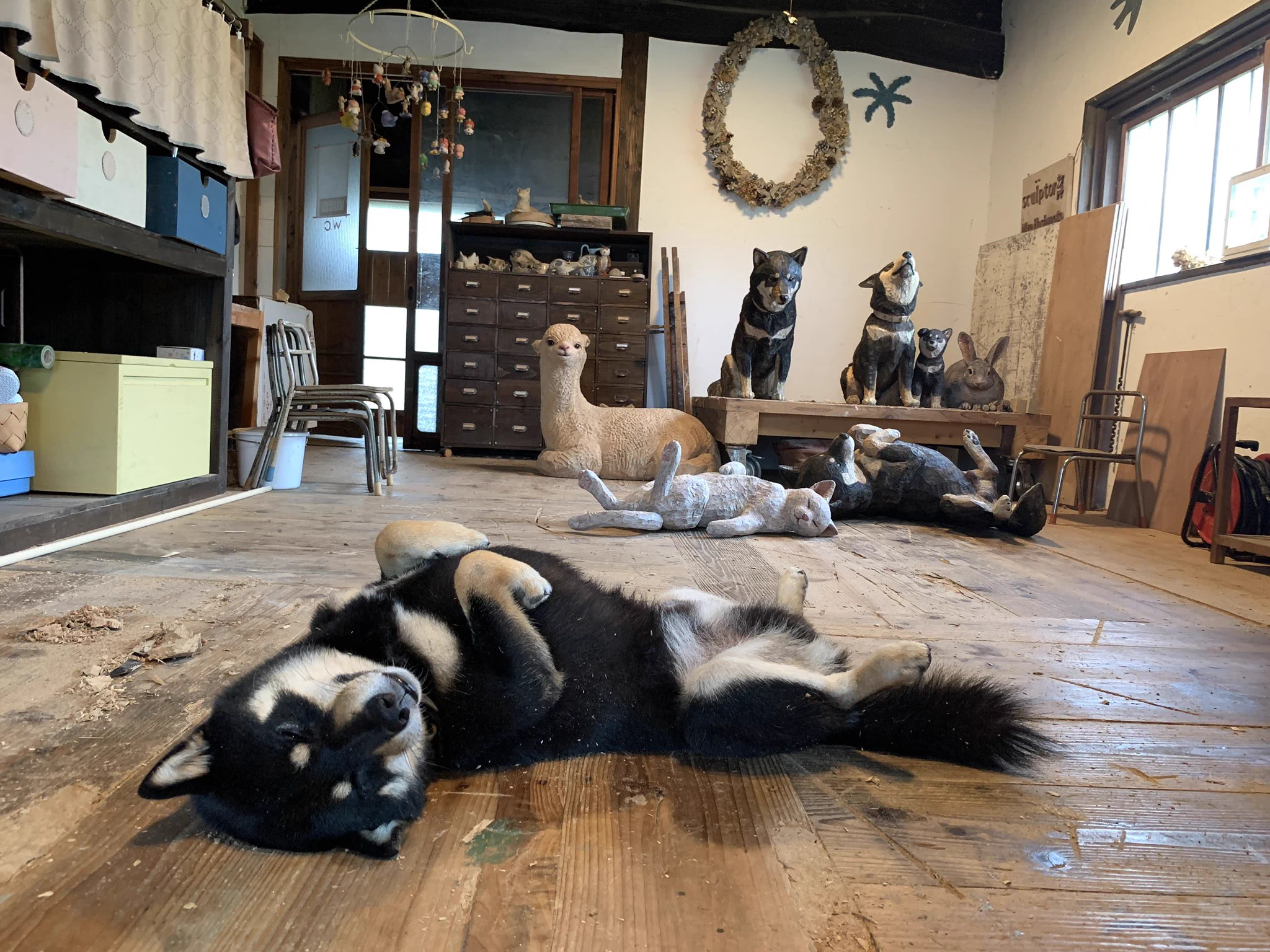 部屋に溢れた木彫りの動物彫刻！作品にまぎれる作家の愛犬ww