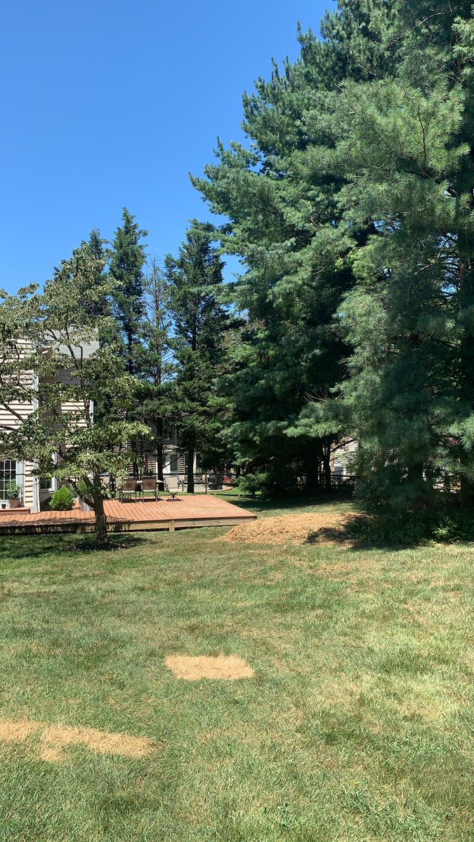 MonsterTreeMD's tweet image. Where did that tree go? Big trees, small trees, doesn&apos;t matter....our professional crew will take it down #TreeTakedown #TreeCareDoneRight #Gaithersburg #MontgomeryCountyMD