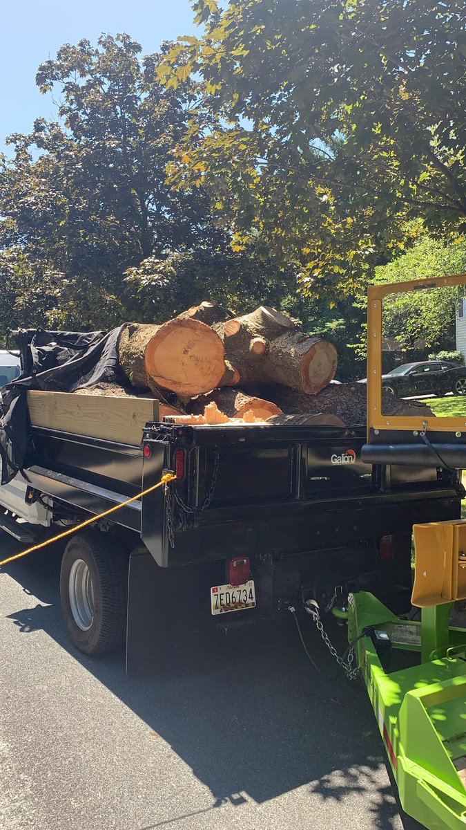 MonsterTreeMD's tweet image. Where did that tree go? Big trees, small trees, doesn&apos;t matter....our professional crew will take it down #TreeTakedown #TreeCareDoneRight #Gaithersburg #MontgomeryCountyMD