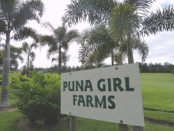This farm was very near where I lived in Hawai'i for a while. Now that's my kind of farm!