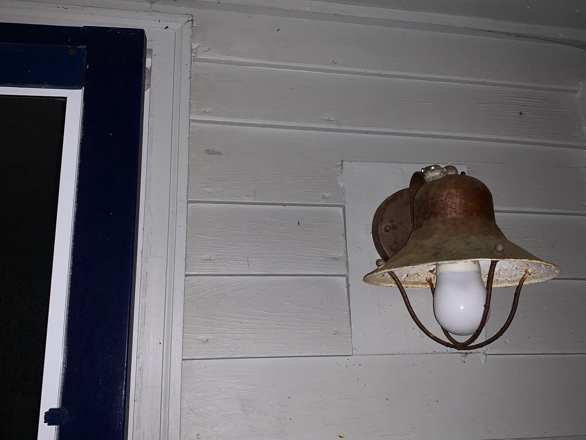 tastefactory's tweet image. Greetings, weary traveler. Would you like to spend the night at my inn?

       [  Y  ]                   N