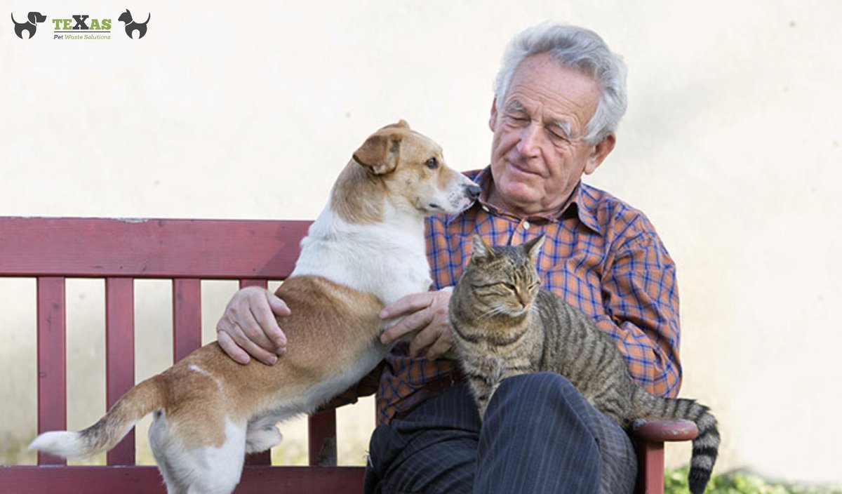 Your dog becomes a part of our family when you join

Contact/ Follow Us:
Phone: (281) 760-3191
Website:texaspetwastesolutions.com
.
#pethealth #dogboarding #dogfood #petlover #doglife #doggy #dogdaycare #vet #catlover #petstore #dogwalking #COVID19 #texaspetwastesolutions