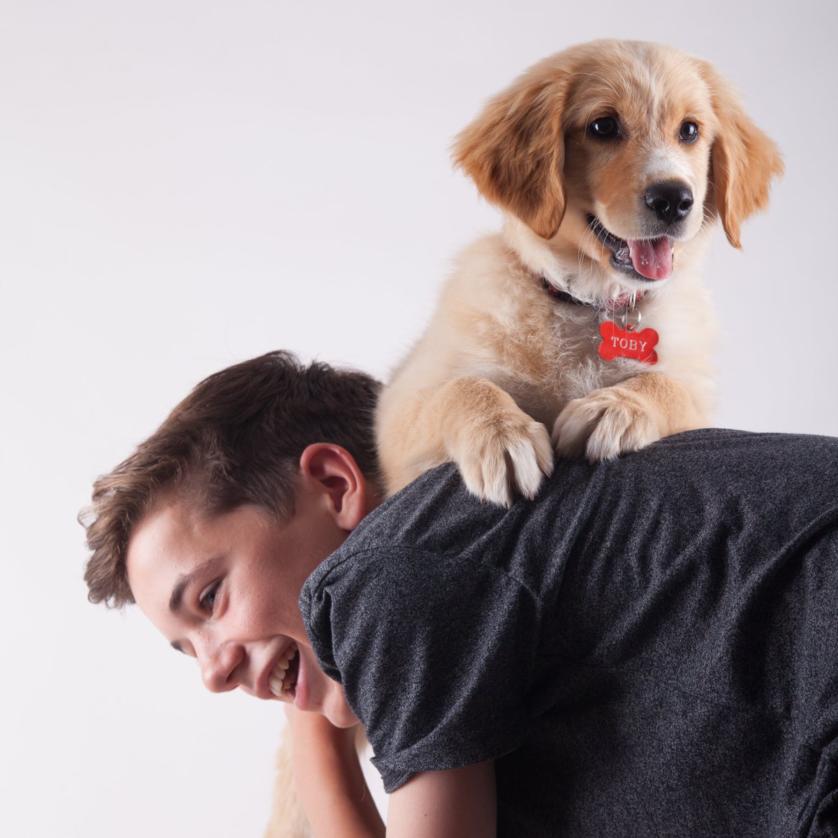 We have just launched a new Parents, Pets &amp; Pandemic Survey to understand the benefits and challenges for Australian families with a dog/cat and children <18y during the COVID-19 pandemic - please circulate! 🐱🐶
redcap.latrobe.edu.au/redcap/surveys…