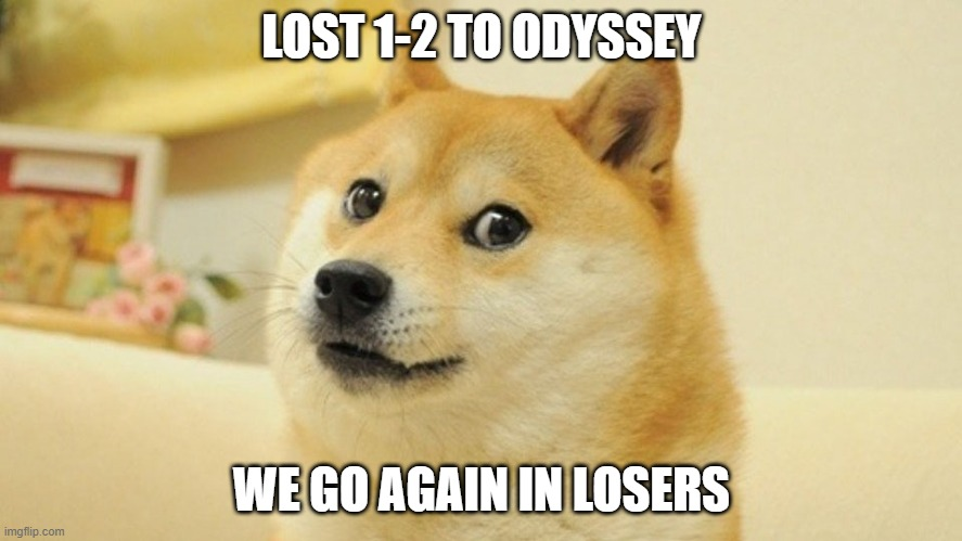 Doge (@teamdogeow) on Twitter photo 