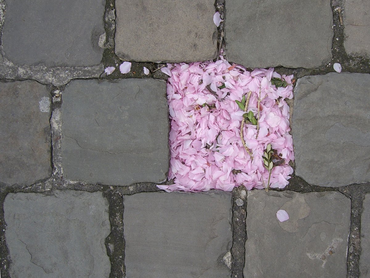 Охид хайр дурлалыг багаасаа мөрөөдөх ёстой гэсэн сигналыг нийгэм илгээдэг. Иймд  сексийн дур хүслээс илүүтэйгээр хайр дурлал, цор ганц түүнийгээ хайх, үнсэлт мэтхэнээр өөрийгөө хязгаарладаг...
#GoodMorningWorld 🌍💚