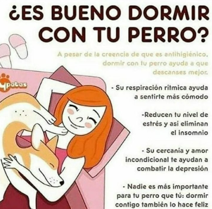 SuavesLomitos tweet picture