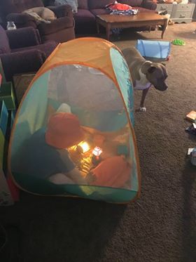 SecondBridge1's tweet photo. Thank you to all who contributed to the wish list for two brothers this past weekend. The boys are loving their new clothes, shoes and toys. This little guy is enjoying his new camping playset. #secondbridge #fostercare #wearethevillage https://t.co/UzllOxmpRa
