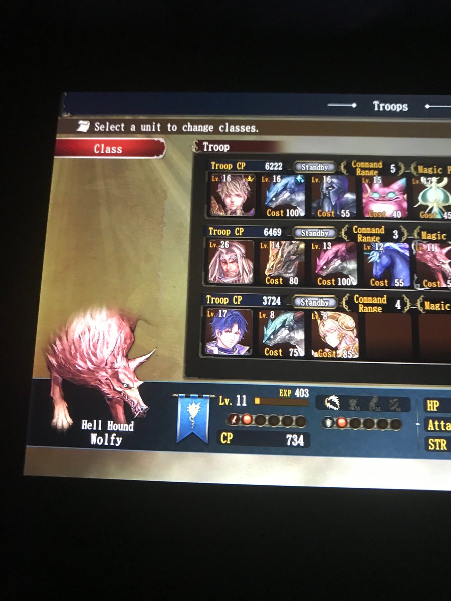 cover out rear. As we progressed, it turns out there was a second Kyle (though a less annoying one), who we fought and forced to retreat at the battle of Naridge. We’re now a stones throw away from their capital. Along the way, Naz finally promoted, as did Wolfy. (2/2)