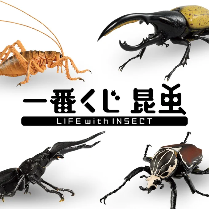 昆虫一番くじ、今日発売なのか…! ちょっとそそられる(笑) 