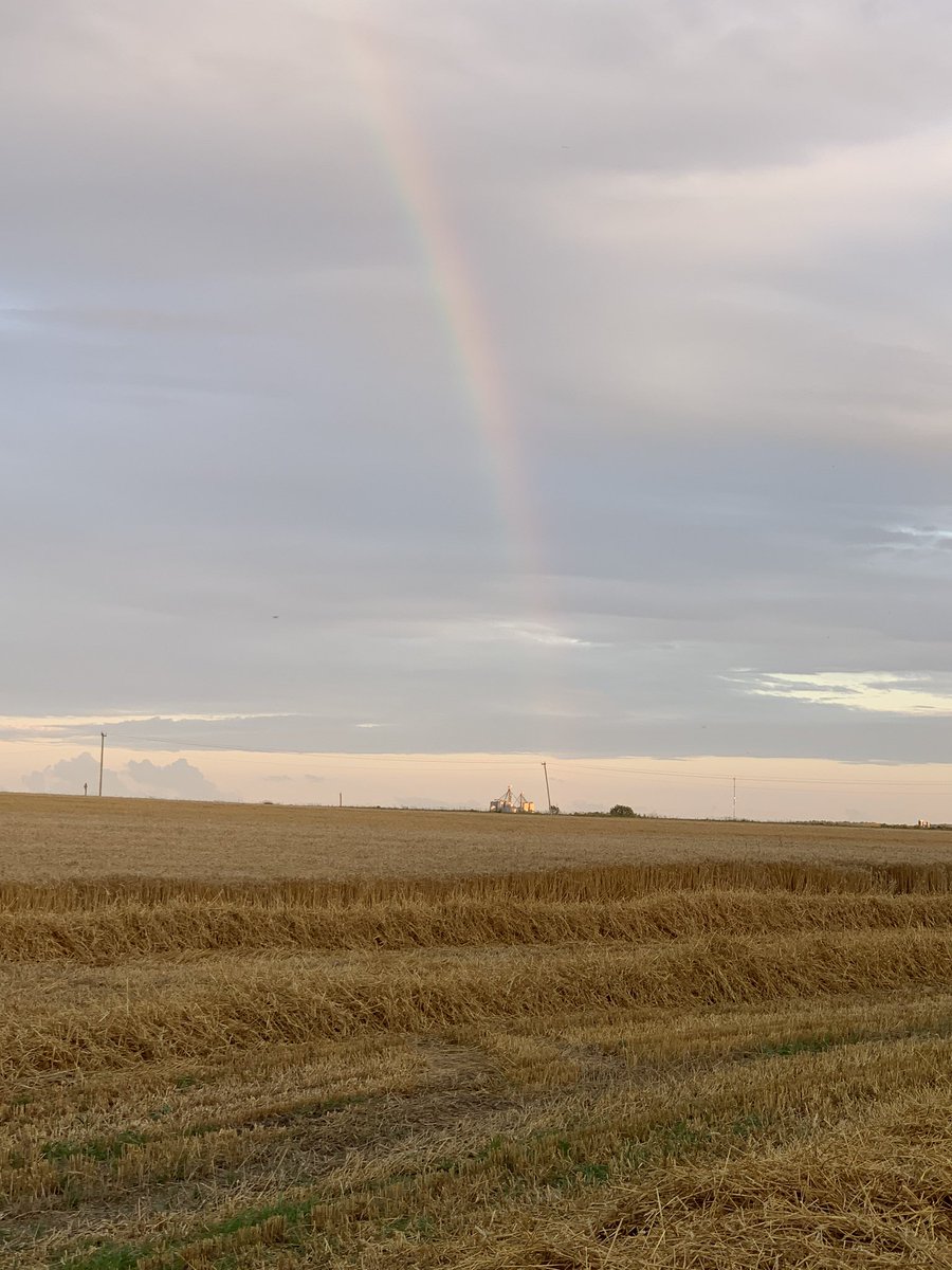Pot of gold to be found at <a href="/Shawridgefarm/">Shawn Schill 🇨🇦🇨🇦</a> tonight