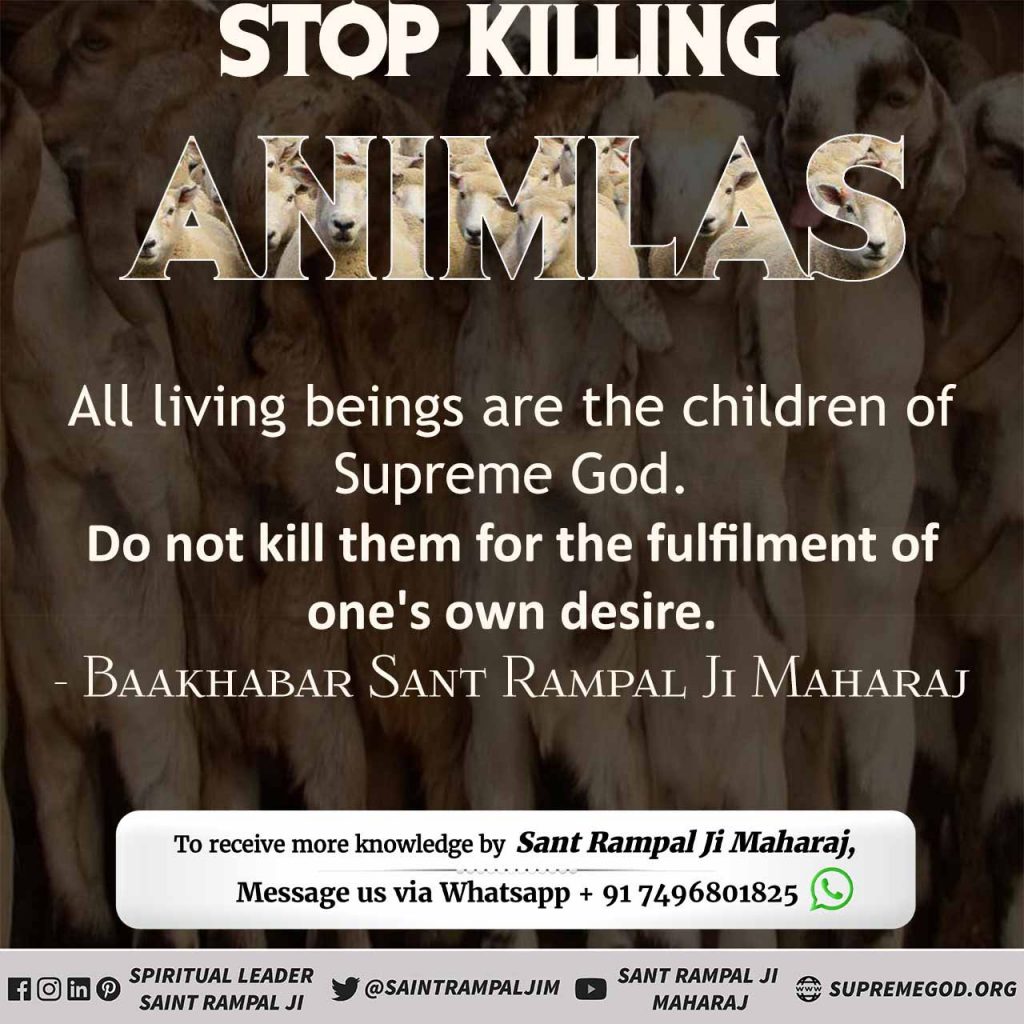 #AllahDoesNotNeedQurbani
जीव हत्या महापाप
काटा कूटी जो करै, ते पाखंड को भेष।
निश्चय राम न जानहीं, कहैं कबीर संदेस।।
कबीर परमेश्वर ने कहा है कि जो पशु को मारकर उसकी देह काटा करते हैं वह सब पाखंडी हैं। परमात्मा के विधान को नहीं जानते- यही मेरा संदेश है। #StayBalanced