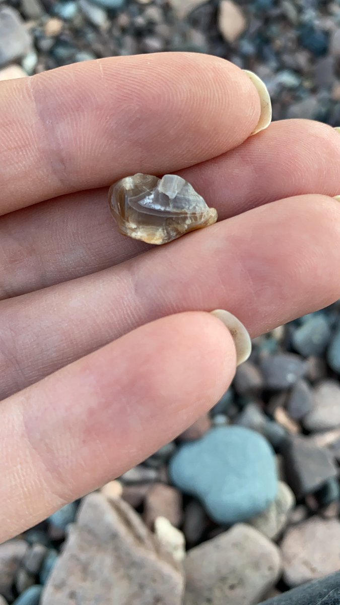 Kristin Kirtz tweet media