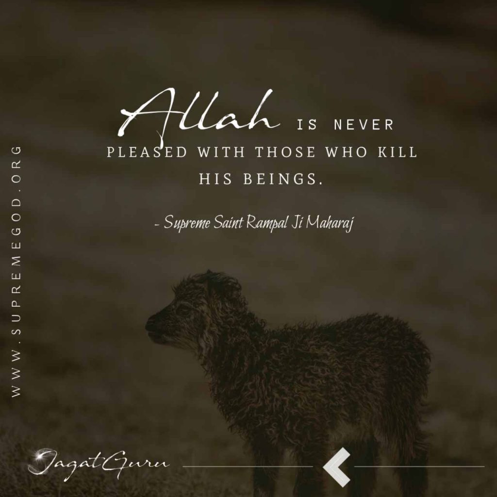 #AllahDoesNotNeedQurbani
बकरा ईद पर परमात्मा का संदेश
गरीब काजी खिलस उठाय ले, तज रोजे की रीत। 
गरीबदास अल्लाह भजो, यो समय जावेगा बीत।।।
परमात्मा ने कहा है कि काजी-मुल्ला ये गलत साधनाएं त्याग दो और उस एक अल्लाह/परमात्मा की भक्ति करो अन्यथा यह मनुष्य जीवन का अनमोल समय हाथ से निकल।