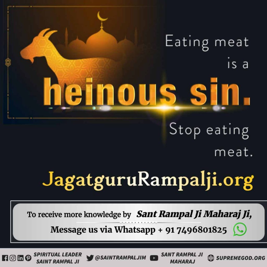 #AllahDoesNotNeedQurbani
मांस खाने वाले राक्षस समान
अल्लाह कबीर सर्व का पिता है। उसके प्राणियों को मारने वाले से अल्लाह कभी खुश नहीं होता।
कबीर-माँस अहारी मानई, प्रत्यक्ष राक्षस जानि। 
ताकी संगति मति करै, होइ भक्ति में हानि।। #TokopediaxBTS
