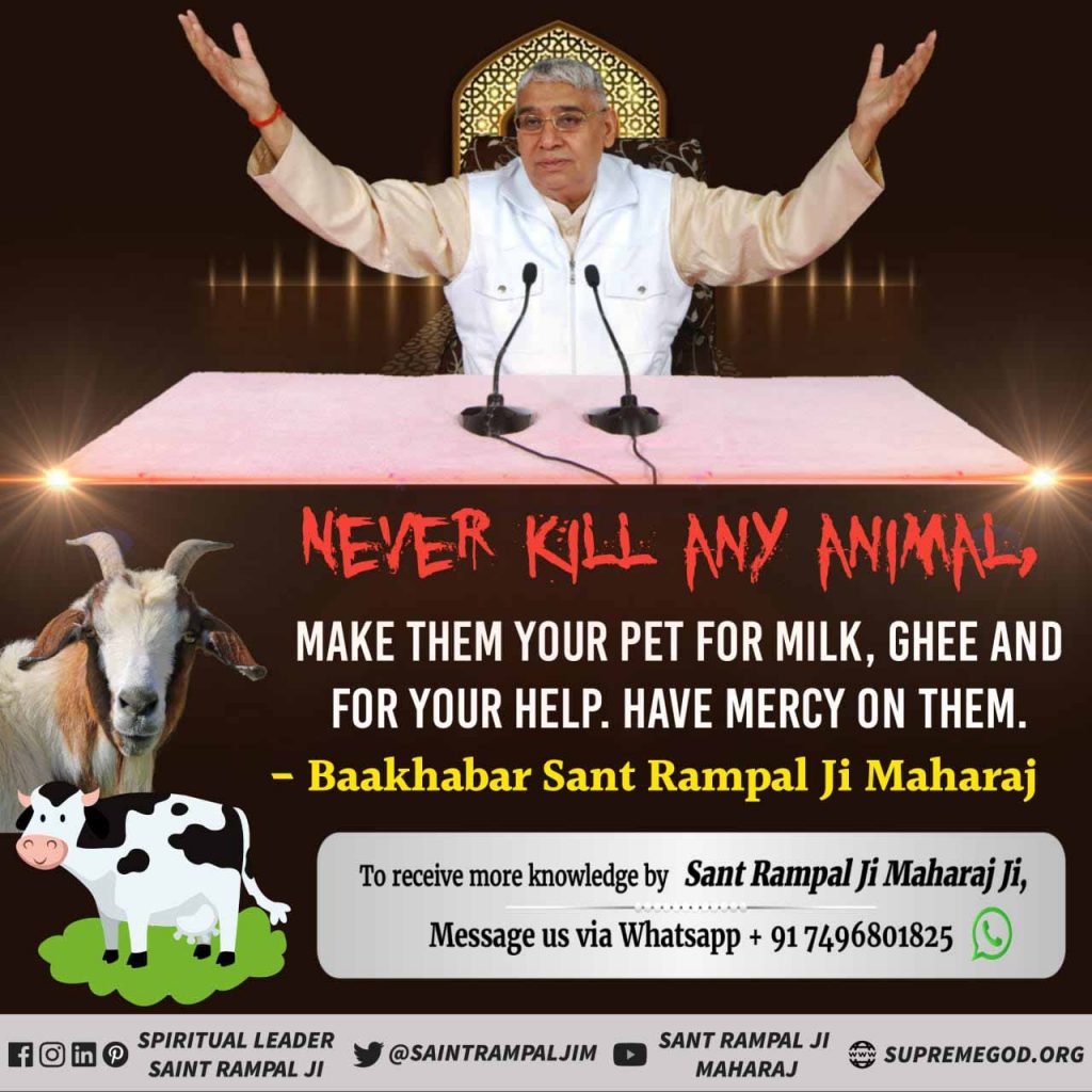 #AllahDoesNotNeedQurbani
बकरी, मुर्गी (कुकड़ी), गाय, गधा, सूअर को खाते हैं। भक्ति की (रीस) नकल भी करते हैं। ऐसे पाप करने वालों से परमात्मा (अल्लाह) दूर है।
बकरी कुकडी खा गये, गऊ गदहरा सूर। गरीबदास उस भिस्त में, तुम सें अलहा दूर।।
जीव हत्या करने वाले नरक के भागी। #COVID19