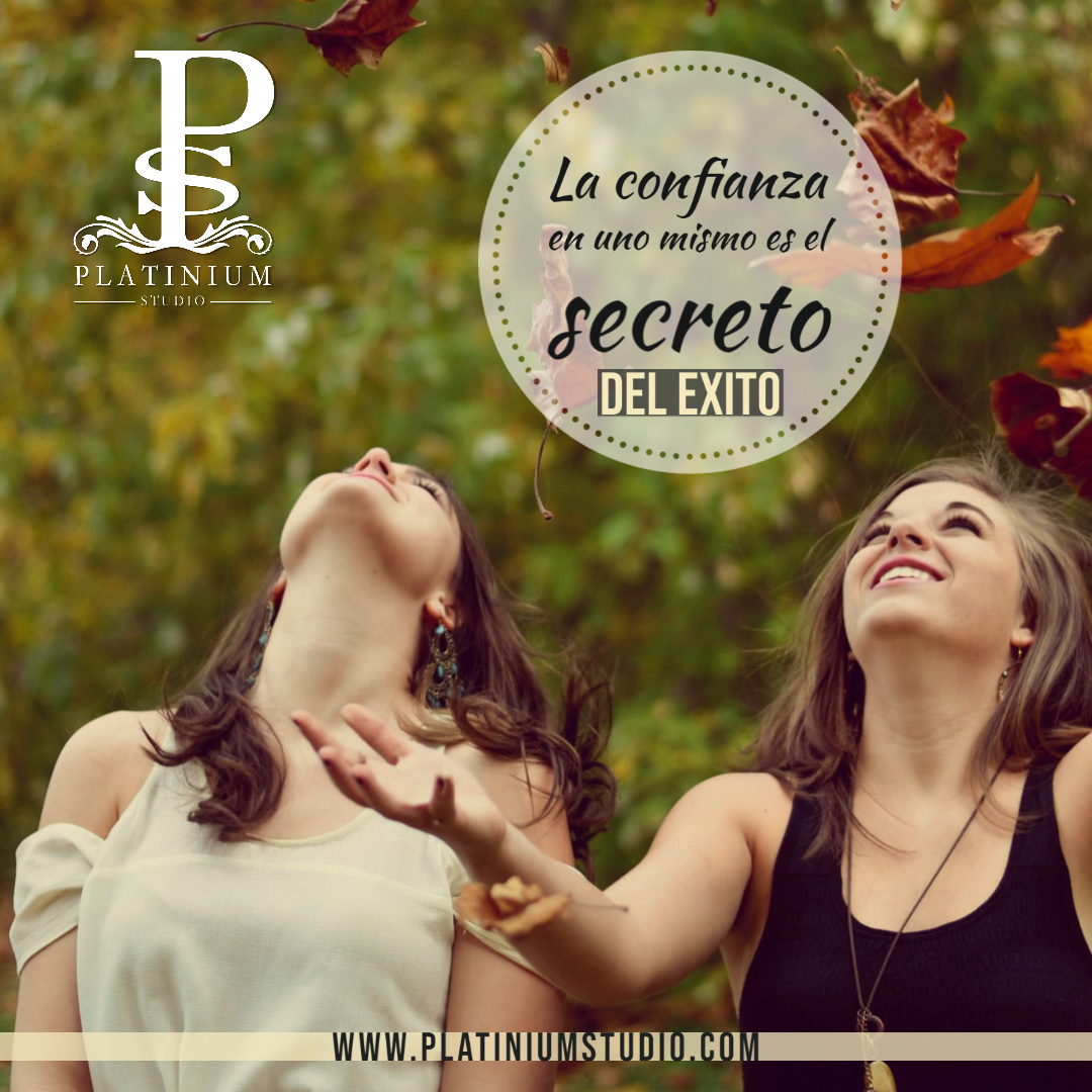 Platinium Studio (@StudioPlatinium) / Posts / X