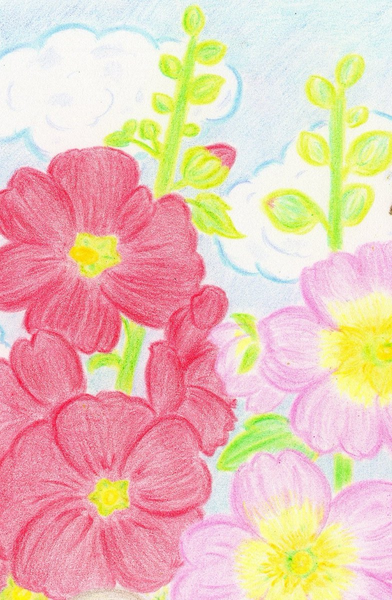 和花葉 タチアオイとアジサイ T Co Ddvjlk9xr0 Creema Jp まだ天気は優れないけど いつか晴れるかな ハンドメイド ポストカード 絵はがき 色鉛筆 色鉛筆画 お絵描き イラスト オリジナル アナログ 夏 花 梅雨 タチアオイ 紫陽花