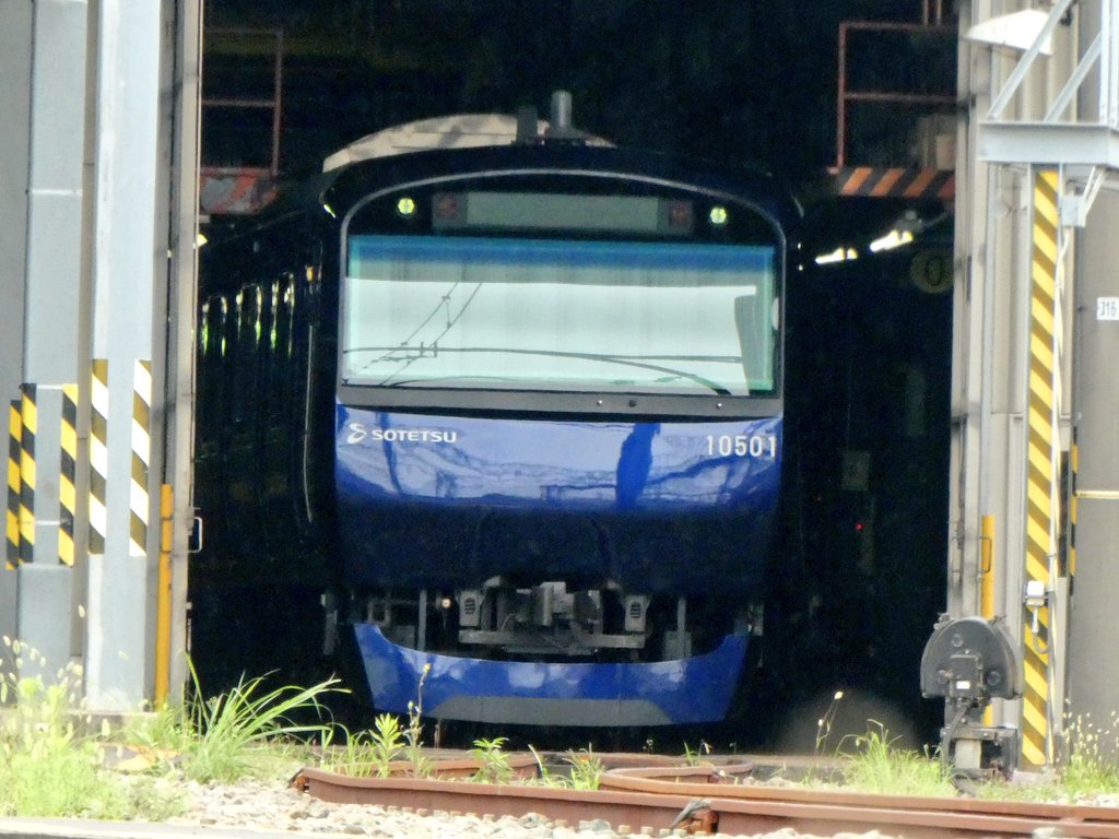 青の住人 Sotetsu101 Twitter 青の住人 Sotetsu101 Twitter