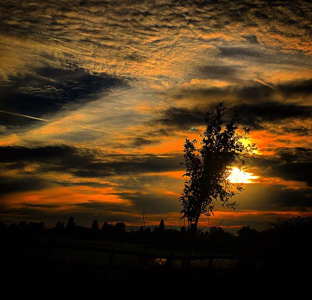 Radiate beauty. Shine your light. You are a blessing to this world. Unique and loved. Have #Faith❤️ <a href="/KMFras/">Lady Kathleen Frascona</a> <a href="/JoJoDiamonds/">JoAnn DiClaudio</a> <a href="/SimonettaLein/">Simonetta Lein</a> <a href="/CattMcCreary/">Catt McCreary</a> @momosaansd <a href="/MyVirtualVaca/">MyVirtualVacations</a> <a href="/LoriMoreno/">#InfluencerMarketing Host</a> <a href="/Jessicasquared9/">🔥 NOT YOUR DIVINE ANGEL 🔥</a> @mfarca <a href="/SteveHammActor/">Steven P Hamm</a> <a href="/suziday123/">Suzi Day</a> #thursdaymorning #thursdayvibes