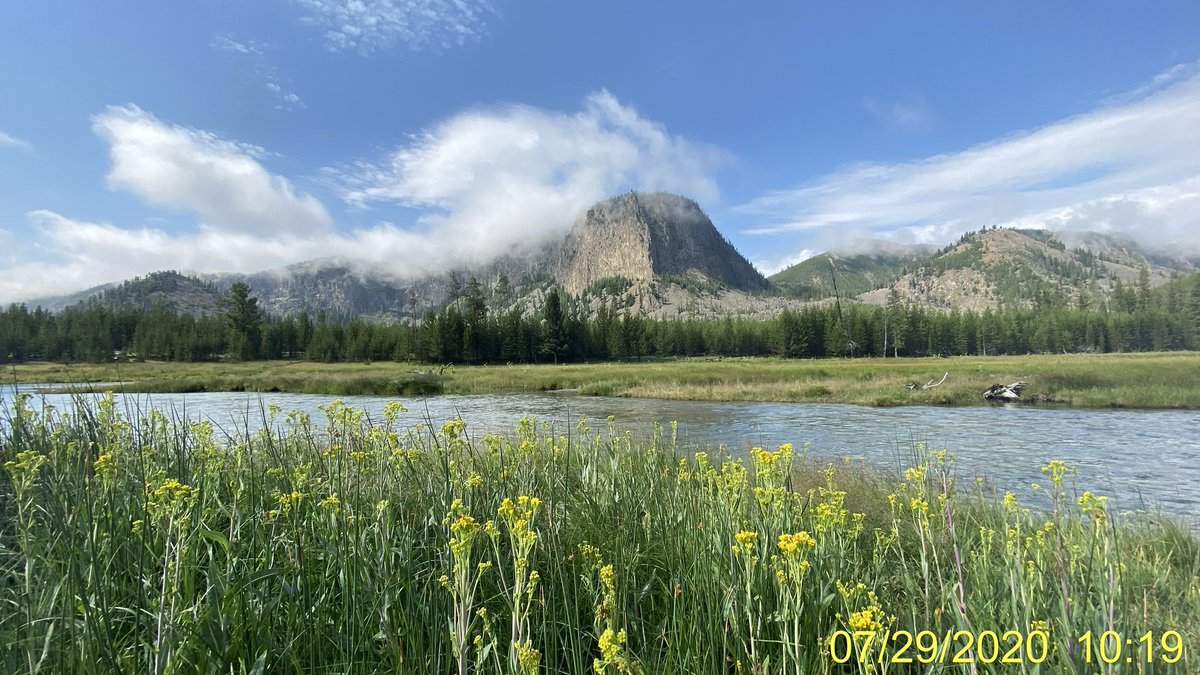 yrtool's tweet image. 