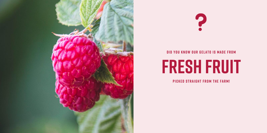 ❔ #servinghappiness #freshingredients