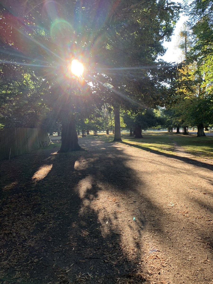 Morning. #bushypark