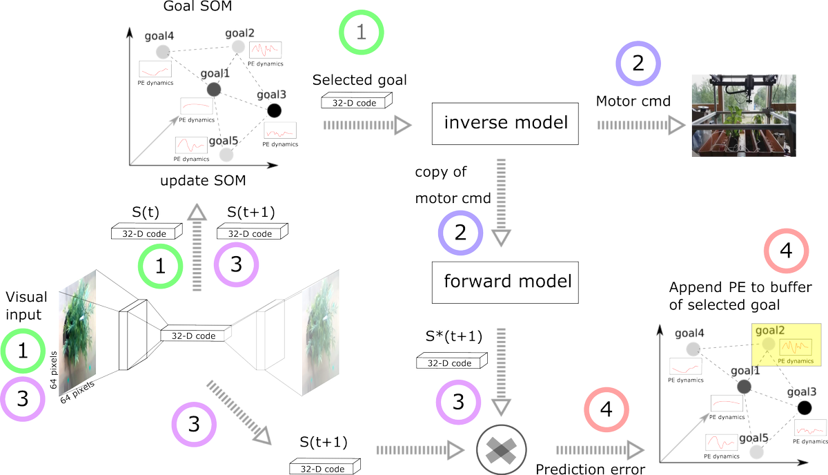 We discuss the tight relationship that PE dynamics may have with the emotional valence of action. PE dynamics may be fundamental cause of emotional valence of action: positive valence linked to an active reduction of PE and a negative valence to a continuous increase of PE.