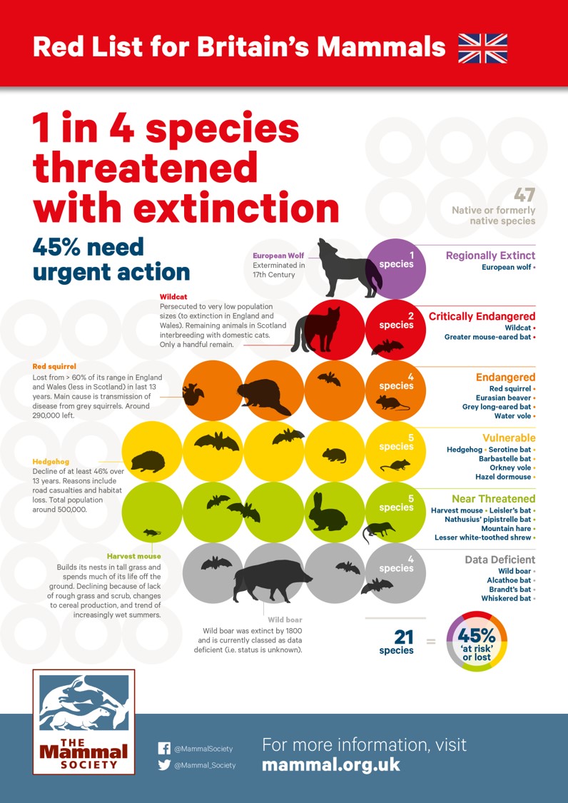 Fiona Mathews (@mathewsfiona) on Twitter photo A wake-up call for #wildlife #conservation in Britain. Our long-awaited Red List for mammals is published today by <a href="/DefraGovUK/">Defra UK</a> <a href="/NaturalEngland/">Natural England</a> <a href="/nature_scot/">Former NatureScot account</a> <a href="/NatResWales/">Cyfoeth Naturiol Cymru | Natural Resources Wales</a> <a href="/Mammal_Society/">Mammal Society</a>. Carrying on with 'business as usual' is not an option. <a href="/IUCNRedList/">IUCN Red List</a> A wake-up call for #wildlife #conservation in Britain. Our long-awaited Red List for mammals is published today by <a href="/DefraGovUK/">Defra UK</a> <a href="/NaturalEngland/">Natural England</a> <a href="/nature_scot/">Former NatureScot account</a> <a href="/NatResWales/">Cyfoeth Naturiol Cymru | Natural Resources Wales</a> <a href="/Mammal_Society/">Mammal Society</a>. Carrying on with 'business as usual' is not an option. <a href="/IUCNRedList/">IUCN Red List</a>