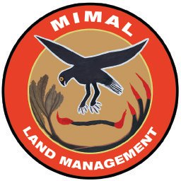 Good yarn with @rgloveroz on @abcsydney re the new #RugbaLeague team, the Brisvegas #Firehawks & the role fire-spreading raptors play in managing Australian savannah woodlands. Also don’t argue with @wendy_harmer #ethnoornithology @TheNorthernMyth @MimalLand #birdsandfire #birds