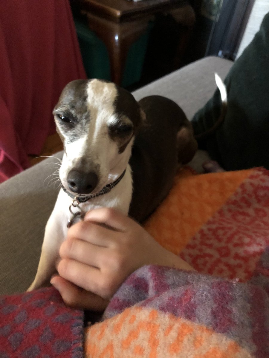 Just in case anyone needs to see this face today