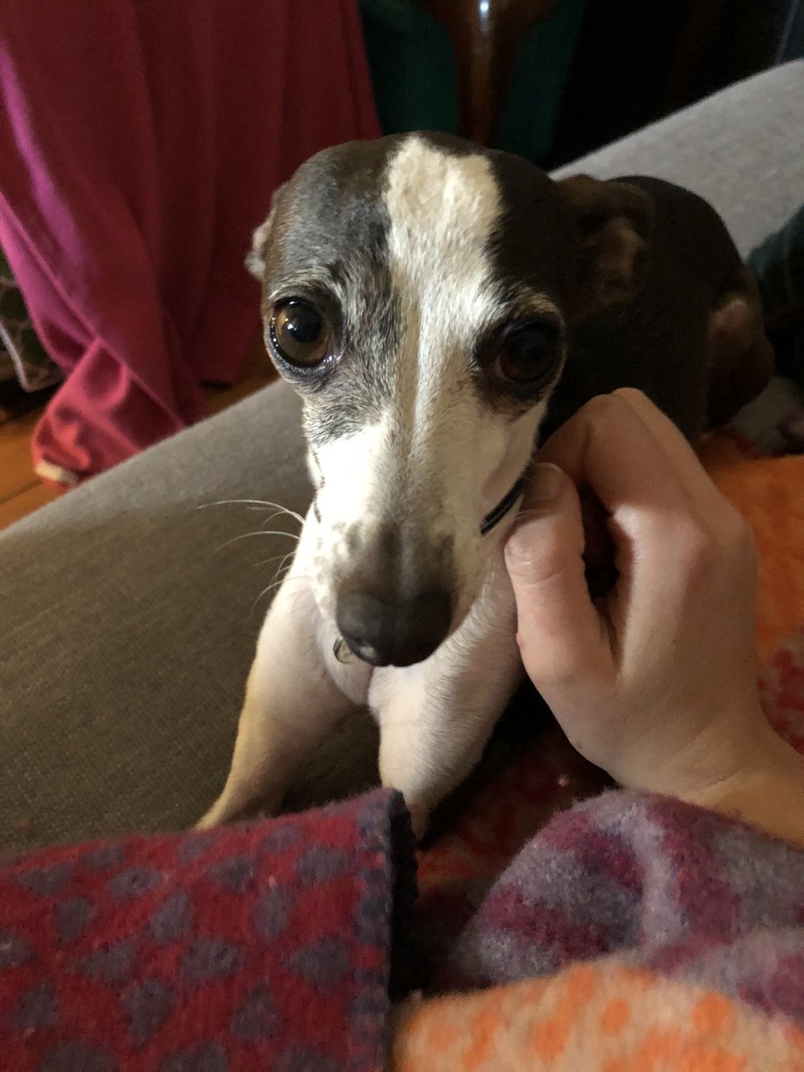 Just in case anyone needs to see this face today