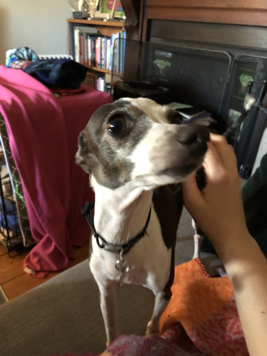 Just in case anyone needs to see this face today