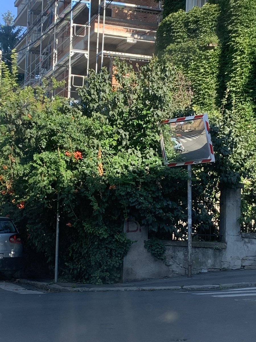 CistZa's tweet photo. Ugao Lamartinove i Braničevske - rastinje je zaklonilo ogledalo @prijavi_problem https://t.co/pOCNKBuTgc