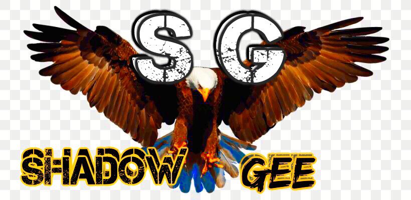 shadowGee4's tweet image. 