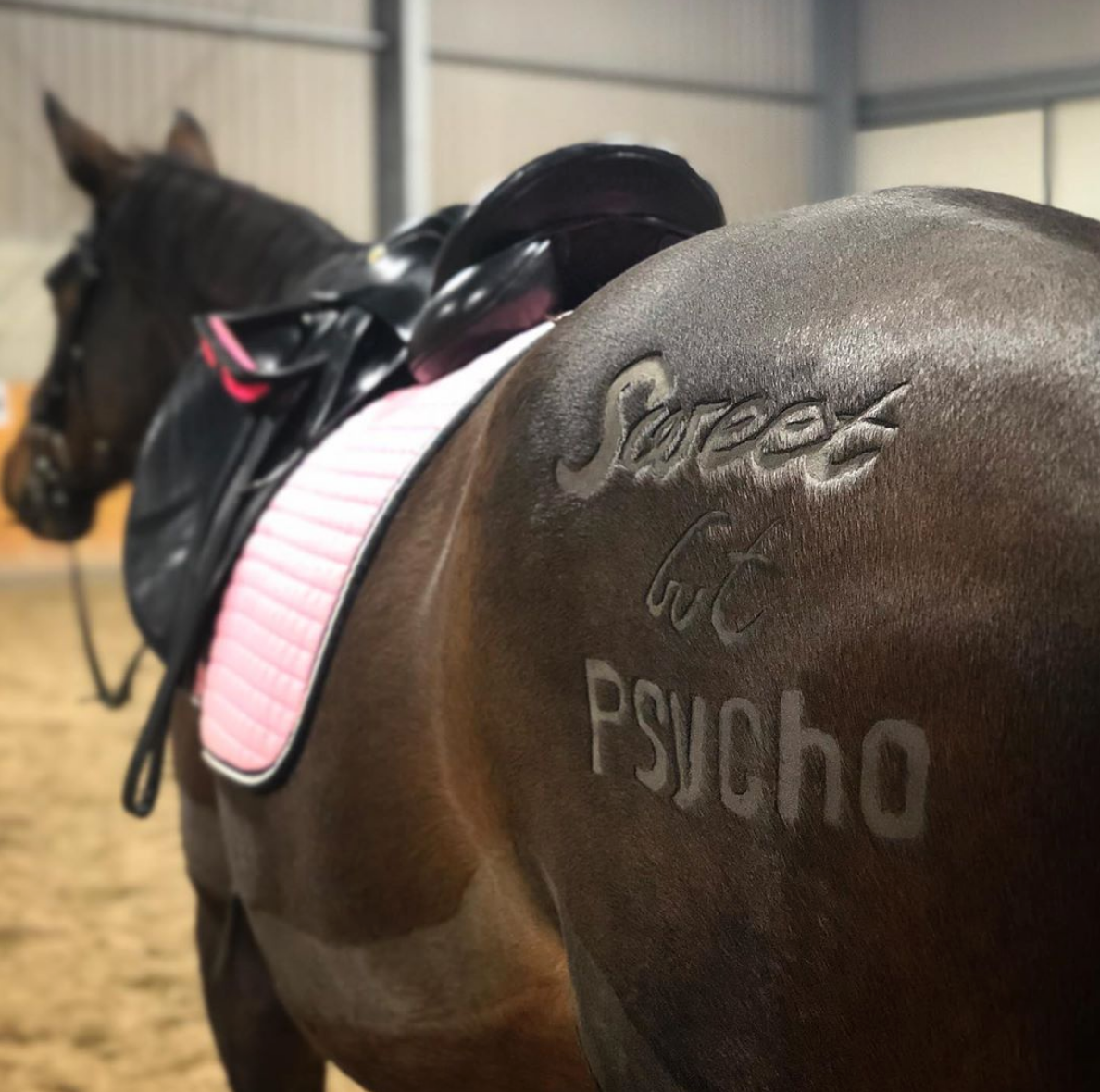 Clippersharp's tweet photo. Love this custom clip by @together.to.the.next.level 👌#sweetbutpsycho
#horsesofinstagram #horseclipping #clippingservice #pferdescheren #horsegrooming #clippersharp #horseclip #horseclippers #customclip #horsebarber #horsenation #horselove #horselover #instahorse https://t.co/kA0Ko6kQCF