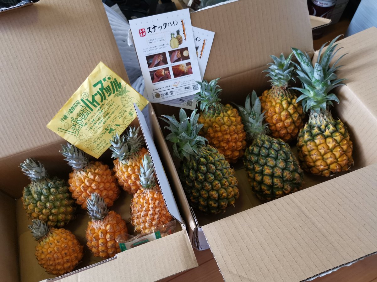 熱帯果樹 Cerca Al Twitter