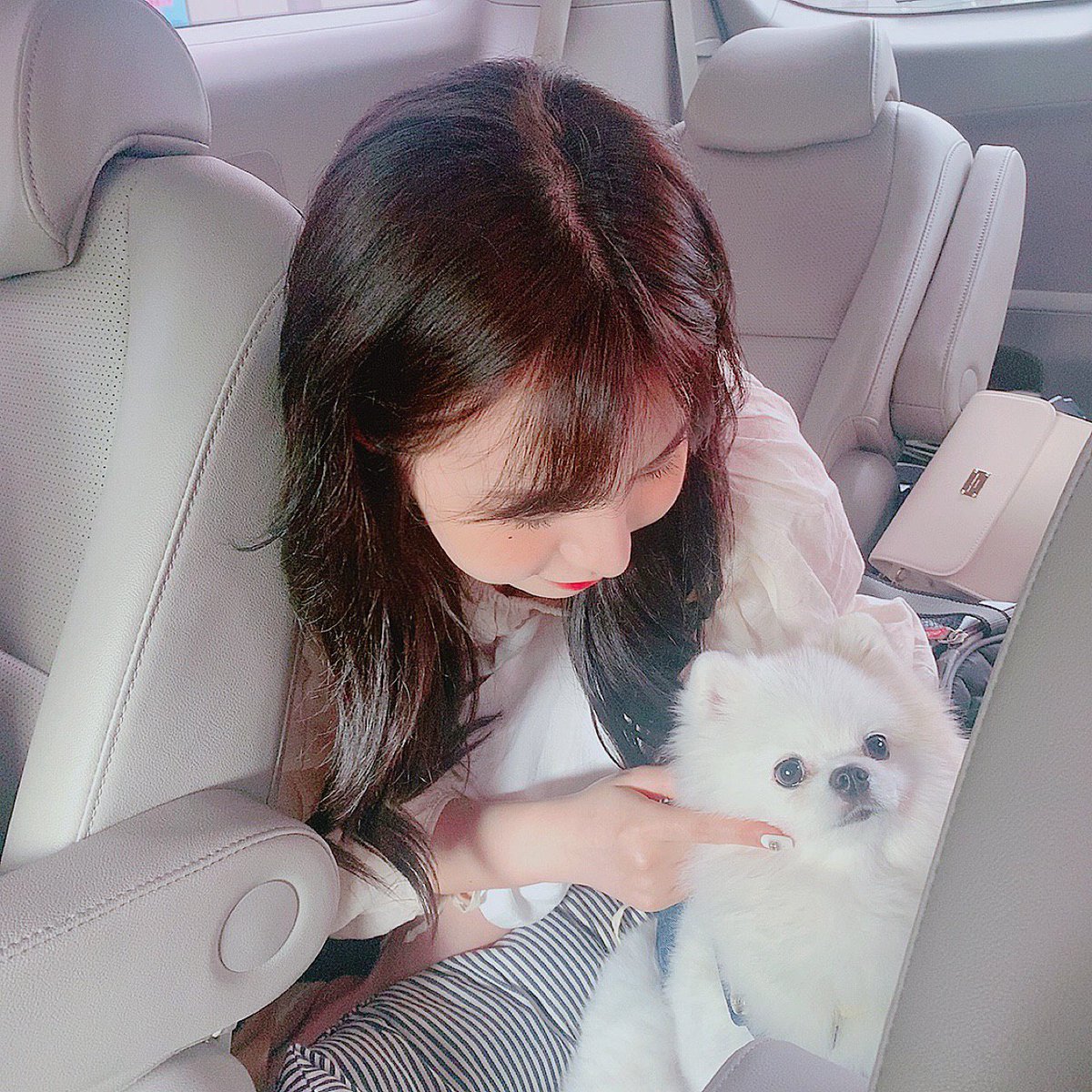 [#담이]

찐빵이랑 담이🐶🐻
항상 날씨 안 좋았는데 지금은 햇빛이 쨍쨍해요🍀
우리 앤써들 행복한 하루 보내요 ❤️

오늘의 추천 곡 제국의아이들 선배님의 후유증🎶

#ANS #에이엔에스 #담이 #DAMI #ANSER #앤써사랑해 #담다디_담이 #찐빵이