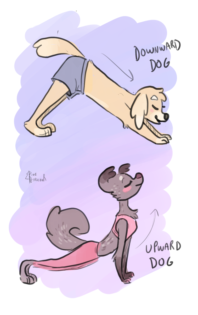 more yoga animals :) #yoga #yogapose #downwarddog #upwarddog #dog #dogs #furryart #furry #furrydogs #yogaart